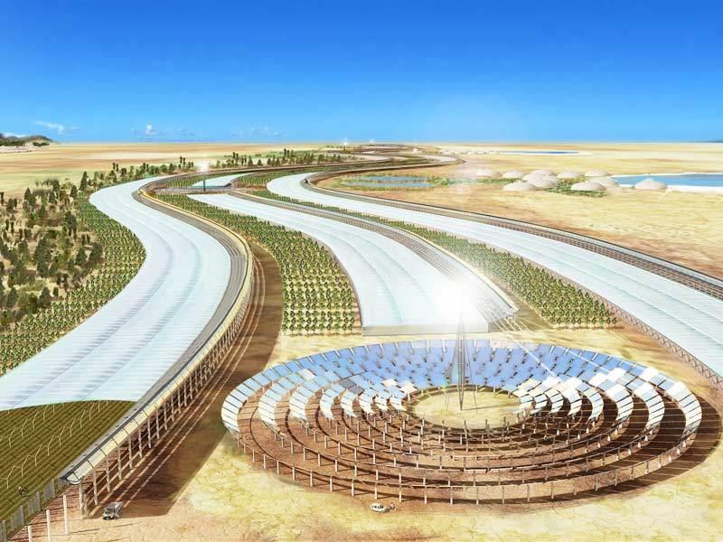 Using nature's genius in architecture