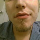 Kodiak Krapf