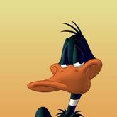 Duck Coach