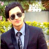 Hitesh Paarth